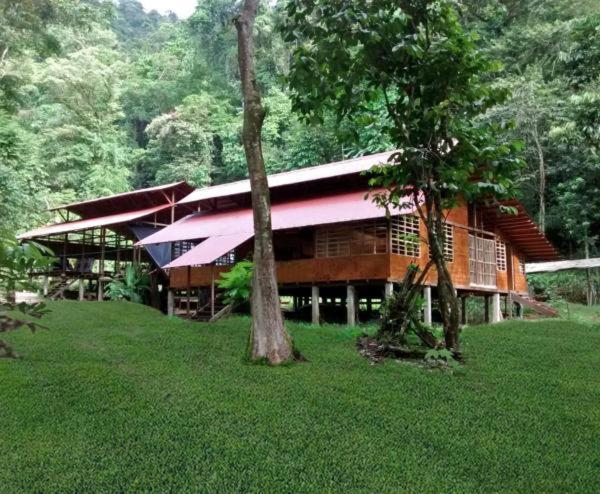 Safio. Una Casa En El Paraiso. 누키 외부 사진